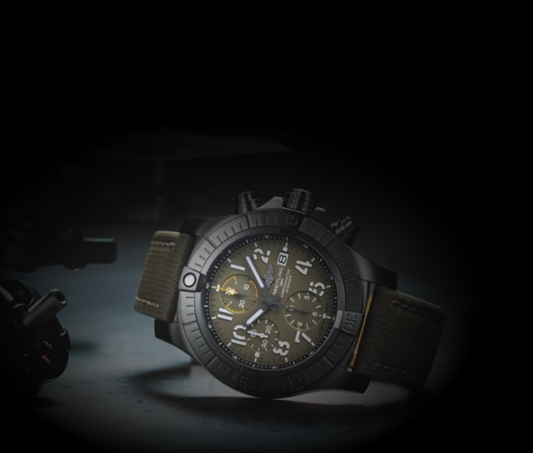 Titanium watches